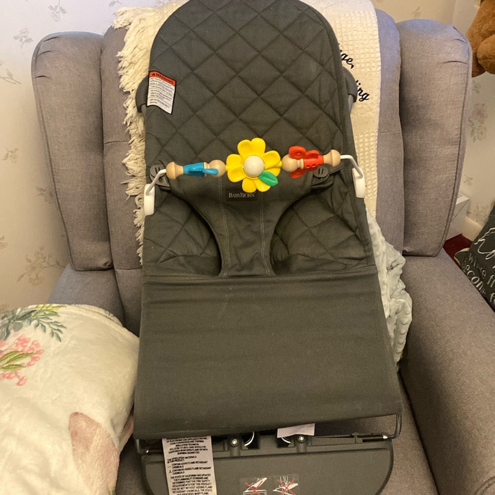 Baby Bjorn Seat